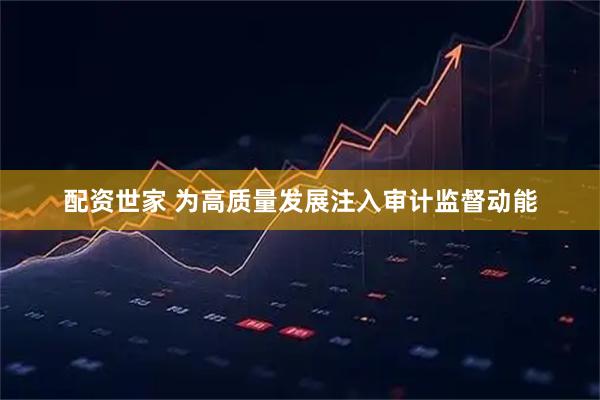 配资世家 为高质量发展注入审计监督动能